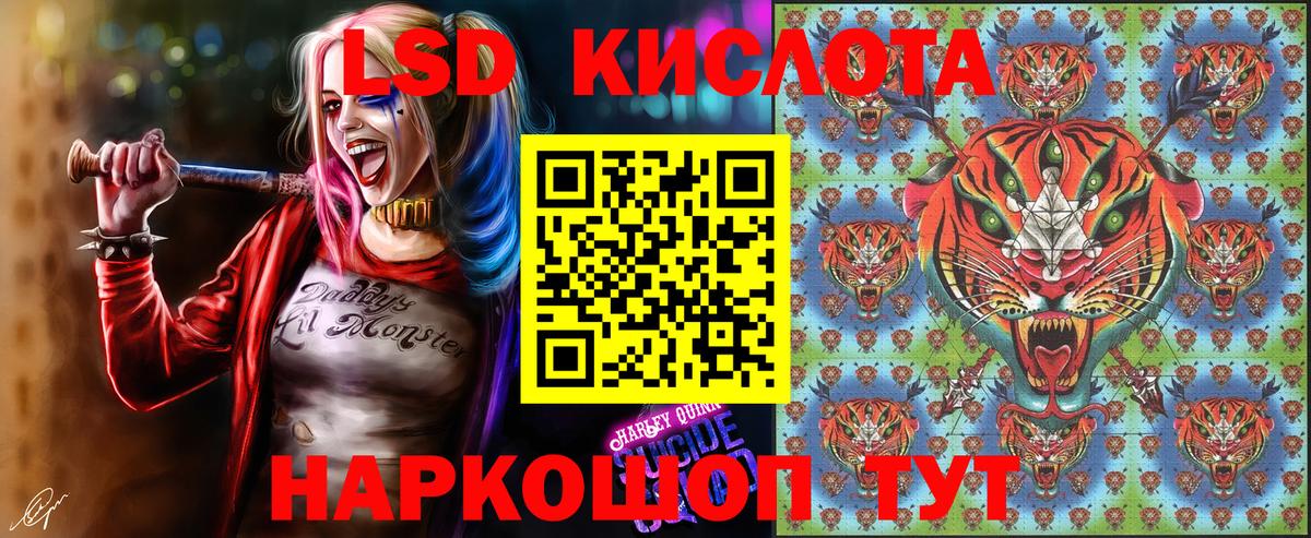 Наркотические марки 1500мкг  Наркотические марки 1500мкг  Марки 25I-NBOMe  Химки  Вход с VPN 