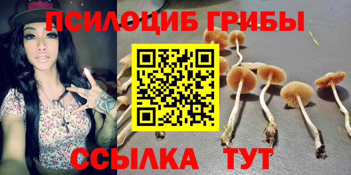 Псилоцибиновые грибы прущие грибы  Вход с VPN  сколько стоит  Химки 